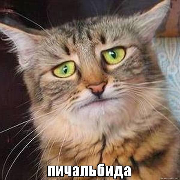 «Белые лебеди» облетели всю Европу