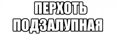 Какое же?