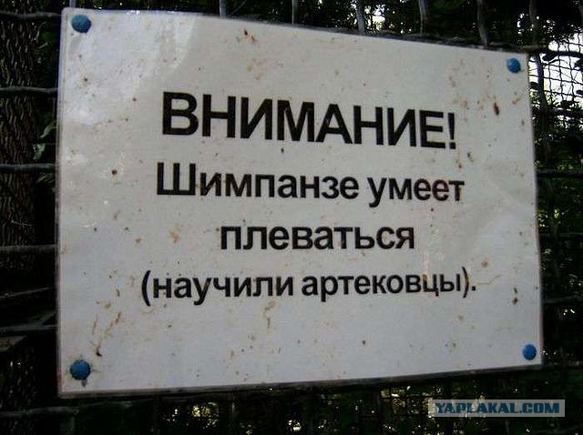 Мой сын сейчас в Артеке!
