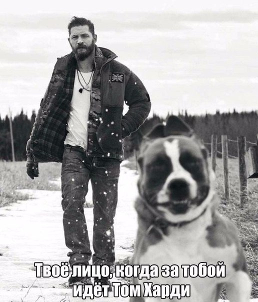 Подборка картинок из сети