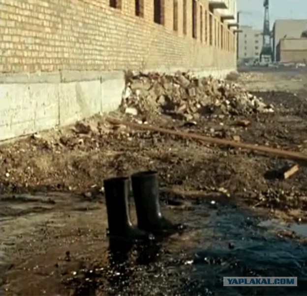 Ваши версии?