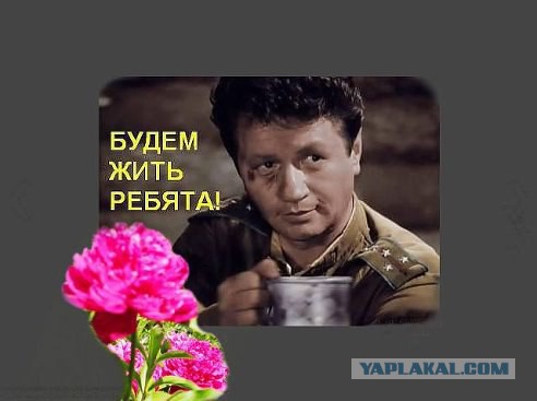 "Погляди на моих бойцов..."