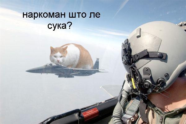 Подборка разного из сети