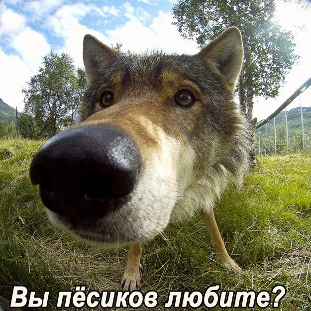 Как мы с Мартином люстру мучили