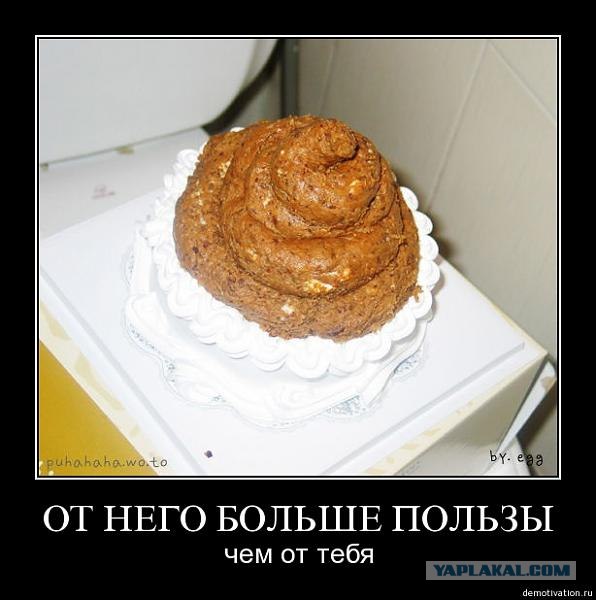 Про нечеловеческие условия работы планктона