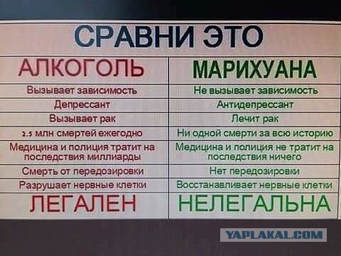 В Красноярске полицейские задержали мужчину, выращивающего в квартире марихуану