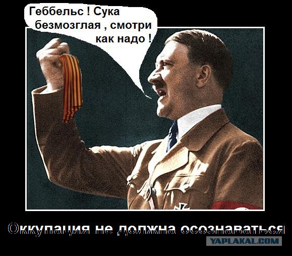Они плевали на Родину, на День Победы и на отдавших кровь за нашу жизнь!