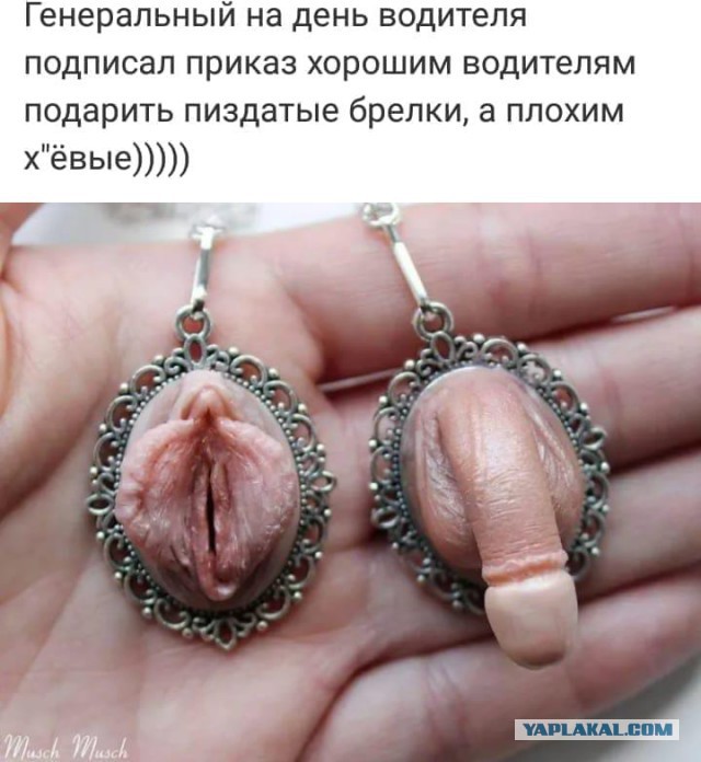 Картинки юморные и тексты 10.10