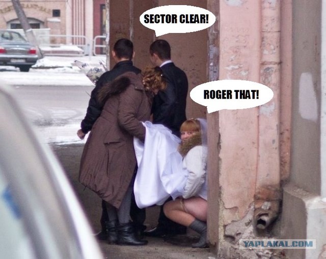 Ааа эээта свадьба, свадьба, свадьба....