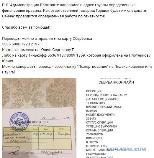 Помогите вернуть кота! Приют "Преданное сердце" украл кота и не отдает!-2