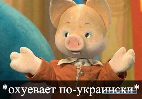 Ну ведь говорили, не жгите костры...