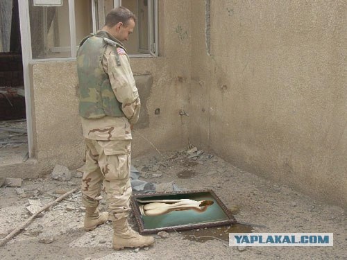 Фотожаба: Никас Сафронов