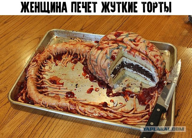 Бредзона 03.11.2020