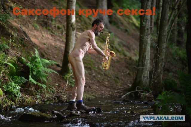 Жабы на тему странного мужика