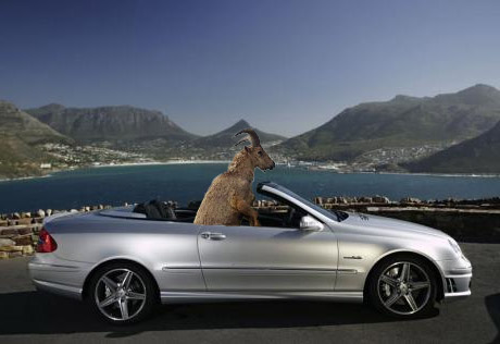 Полиция со стрельбой задержала Mercedes в Москве