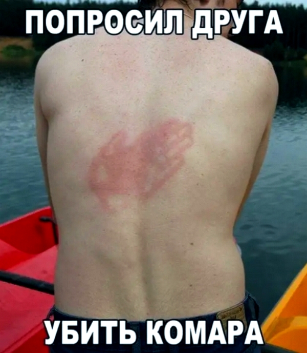 Воскресные картинки