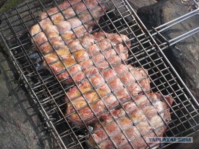 Эксперименты с мясом