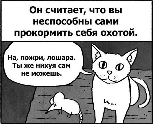 Волшебные слова