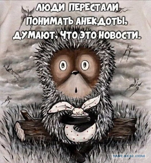 Житель Подмосковья зарубивший топором и расчленивший тело своего партнера по бизнесу раскаялся и получил 4 года условно