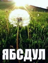 Одуван в опасности!