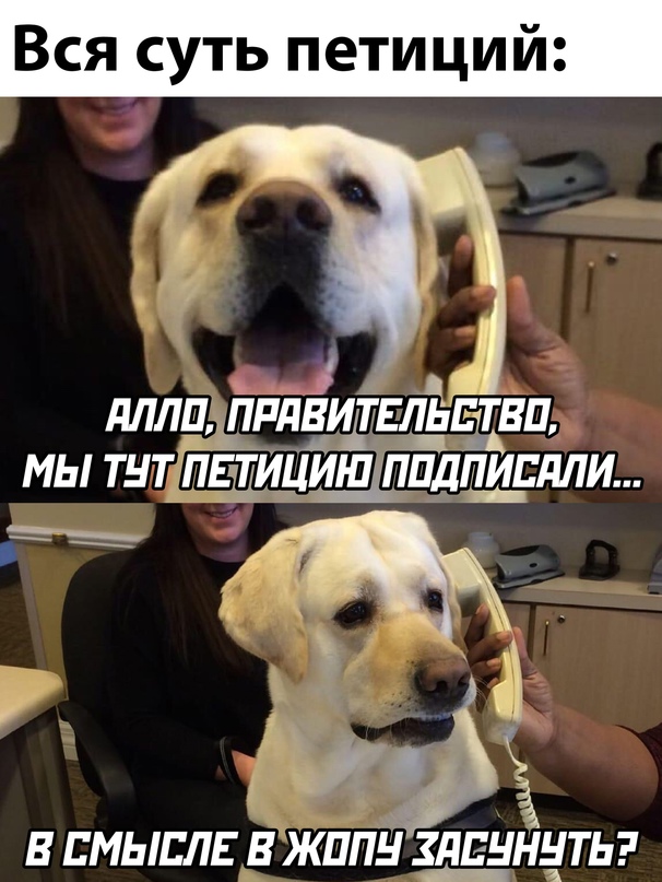 Весёлый полтишок 08.12