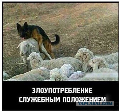 Картинки на выходные 25.12.21