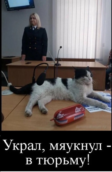 Картинки с надписями и всякие жизненные фразы