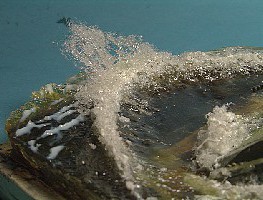 БМП ныряет в воду