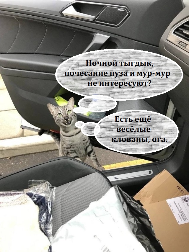 Как завести себе человека