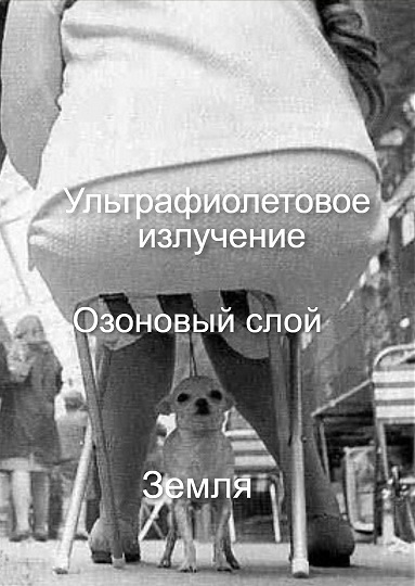 3 этапа жизни