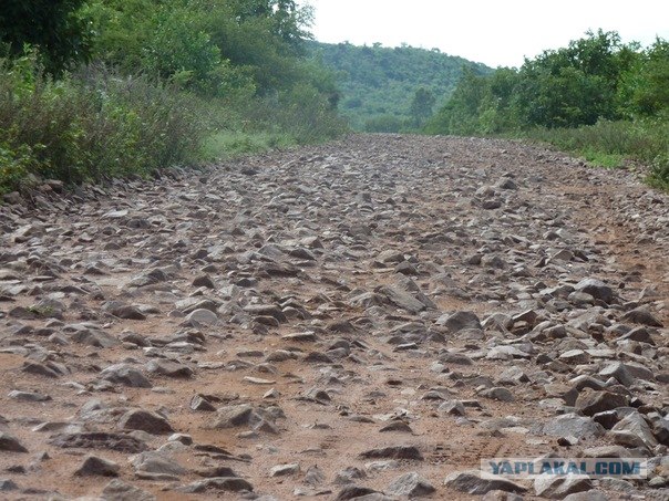 AFRICA - (Эфиопия,Кения,Танзация) 4-16 ноября 2011