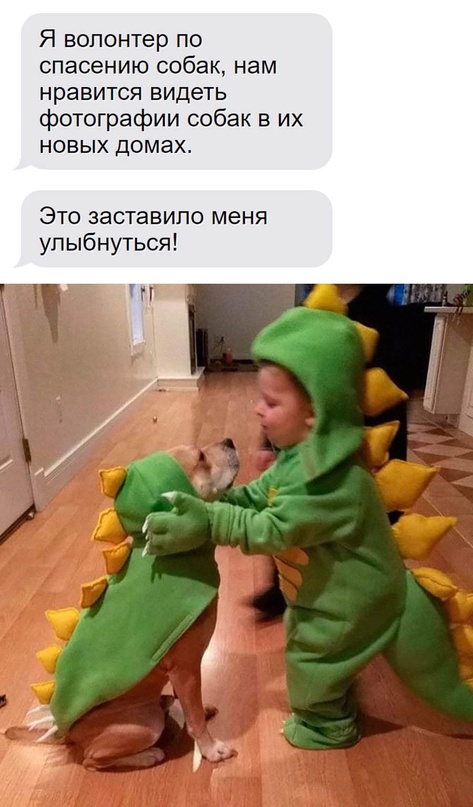 Картинки и мемы для настроения - 125