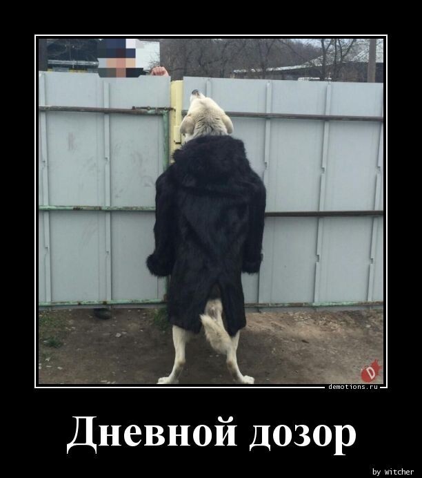Картинки с надписями 31.03.23