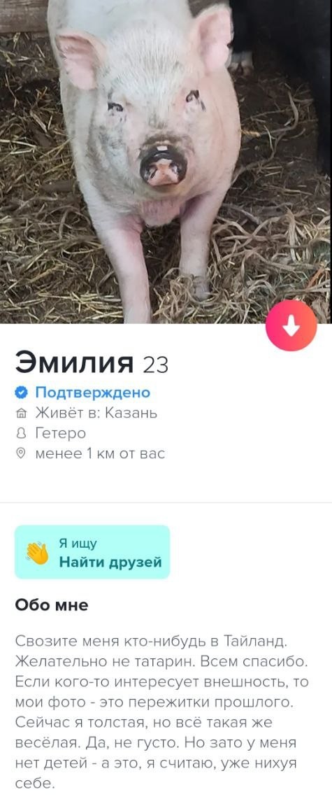 Постыдные скрины перлов с сайтов знакомств, часть 3