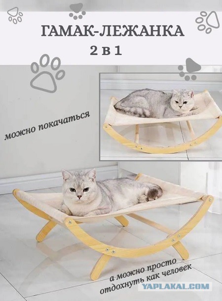 У нас время релакса... А ты работай, бесхвостый!