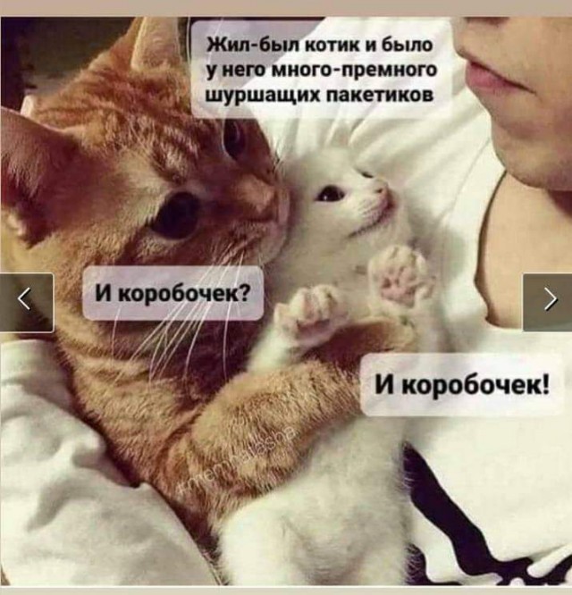 Так себе картинки 20.07.23