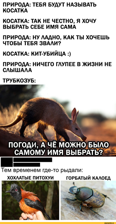 Так себе картинки 26.09.23