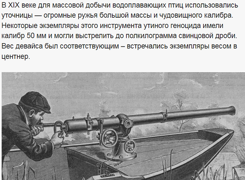 "Смерть председателя"