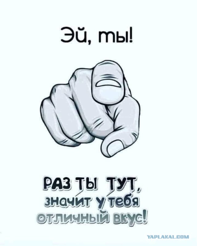 ⚡ ЯП, с Днем Рождения! С юбилеем! 20 лет ЯПу!