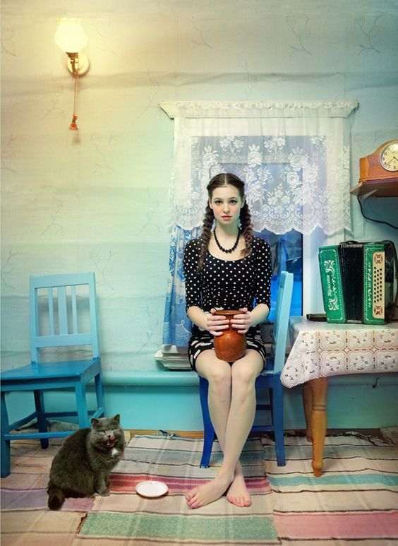 Котовторник в картинках