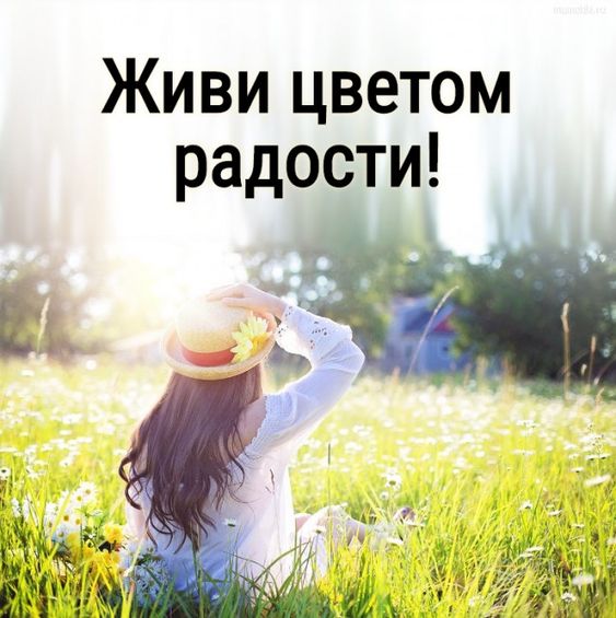 Прикольные и просто красивые картинки 21.06.2024