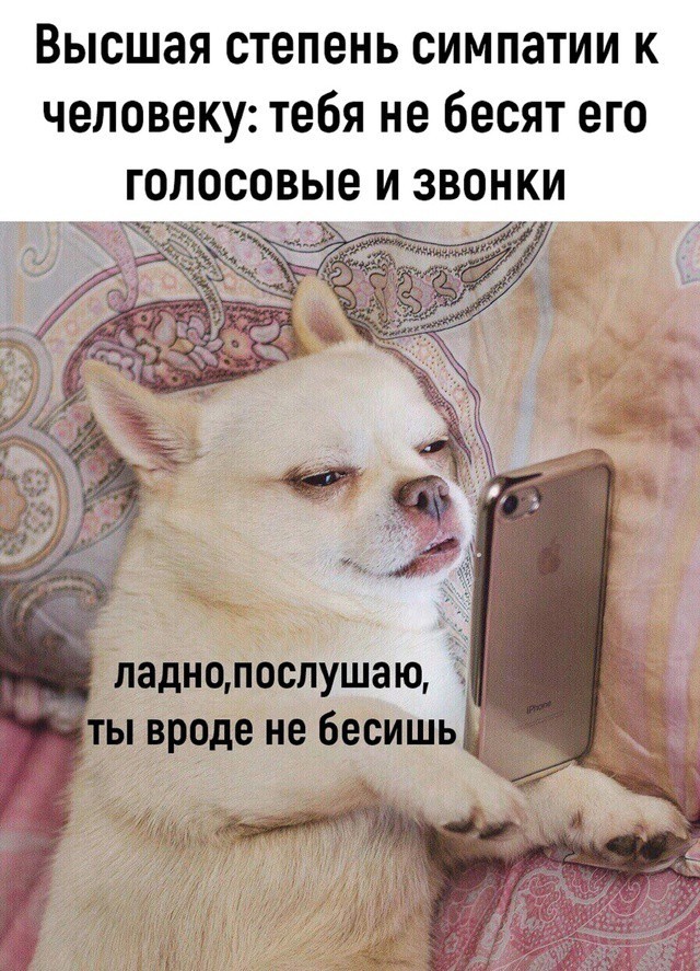 Немного лёгкой *банцы, наркомании и деградации в ленту 3