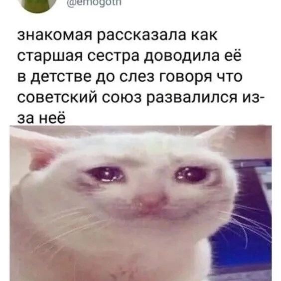 Отряд быстрой деградации