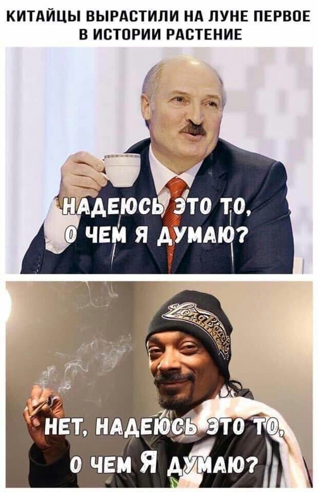 Прикольные и просто красивые картинки 10.12.2024