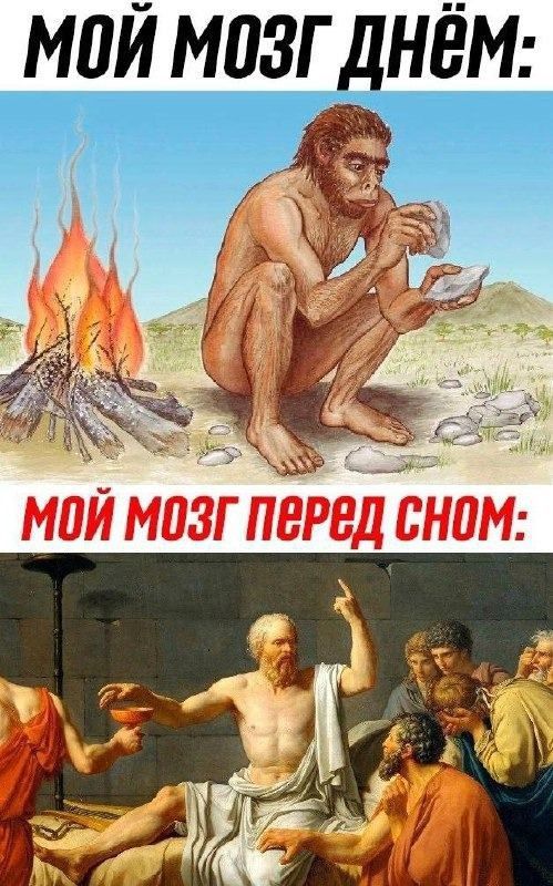 Прикольные и просто красивые картинки 07.01.2025