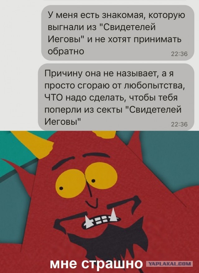 Так себе картинки 18.08.25
