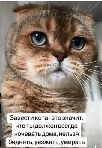 "Лучше быть собакой, чем женщиной в дагестанской семье"