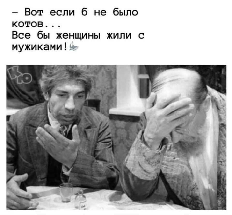 20496938.jpg