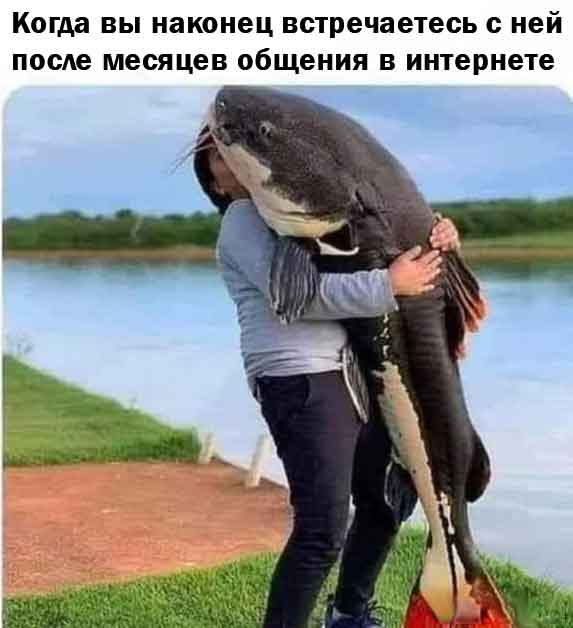 Так себе картинки 29.12.25