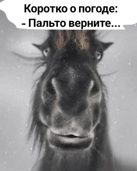 Среды картинки